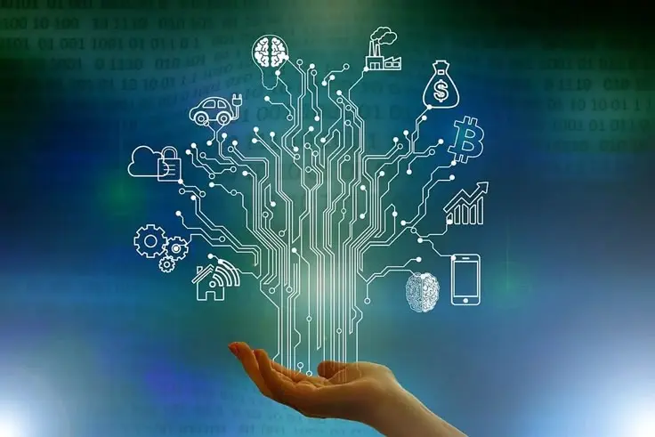 tree digital markeing expert in thrissur, kerala